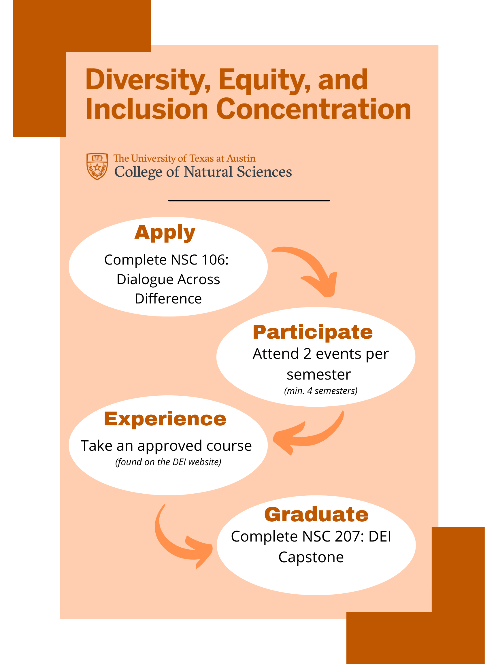 DEI Concentration overview brief