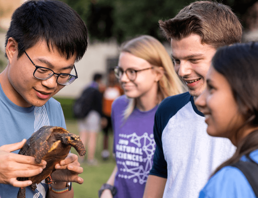 outdoor scene of student fair on UT campus