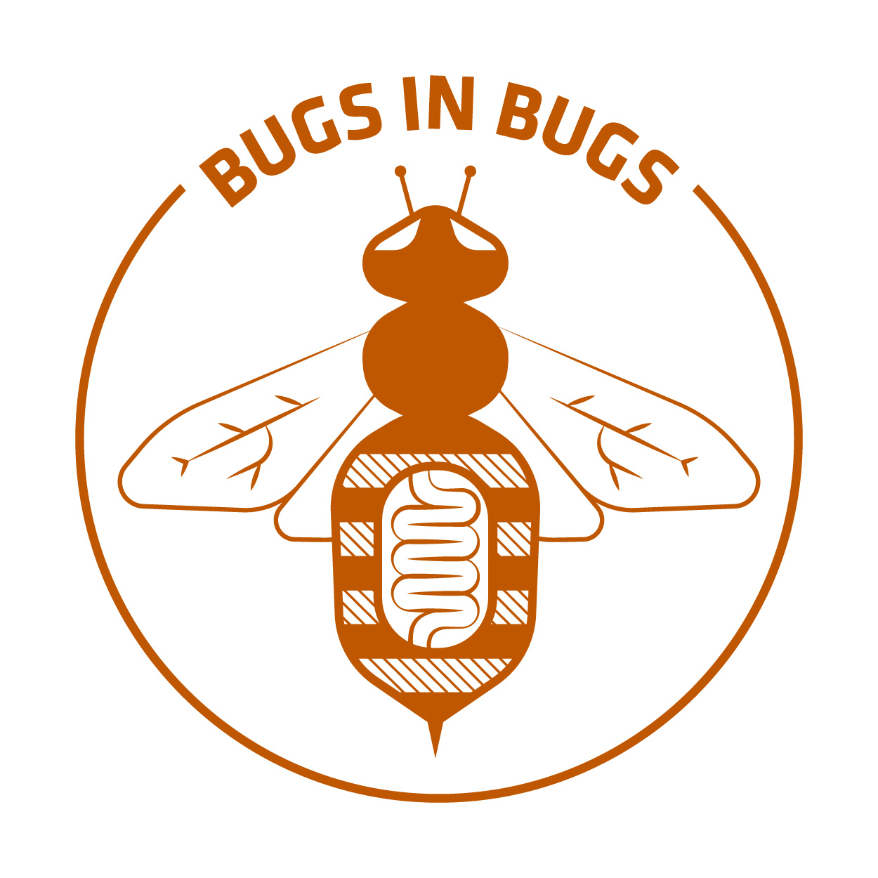 bugs in bugs RGB orange nickname