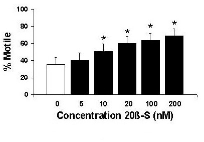 20b-s figure copy1