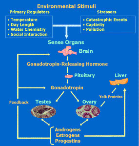 overview figure copy