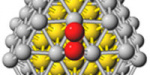 Computational Nanoparticles