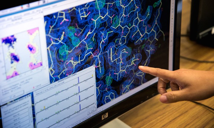 Chemistry in Mold Reveals Important Clue for Pharmaceuticals