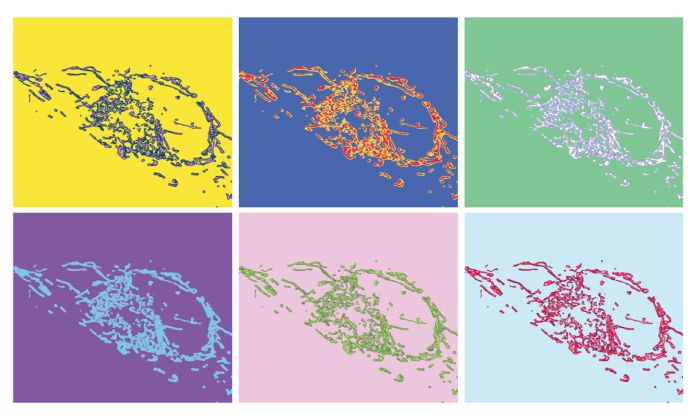 Researchers Discover Key Mechanism Cells Use to Harness Energy