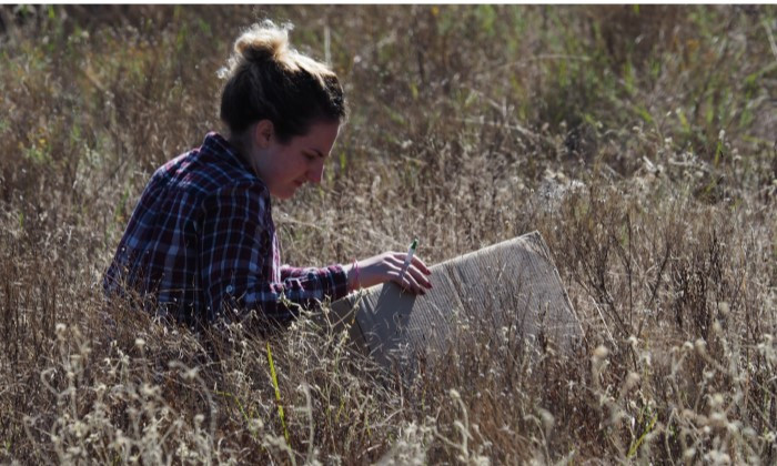 7 Emerging Scientific Leaders Among Recipients of Stengl-Wyer Research Support