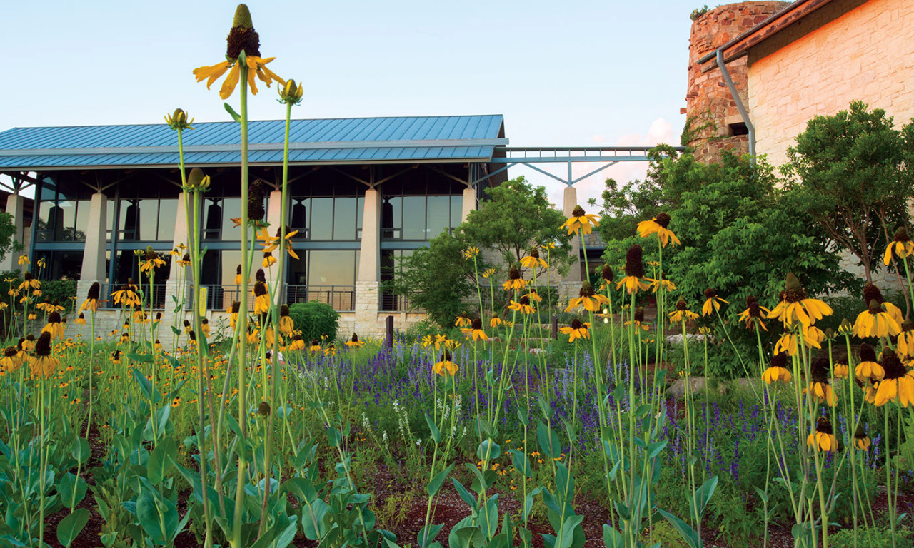 Lady Bird Johnson Wildflower Center Receives Field Station Designation