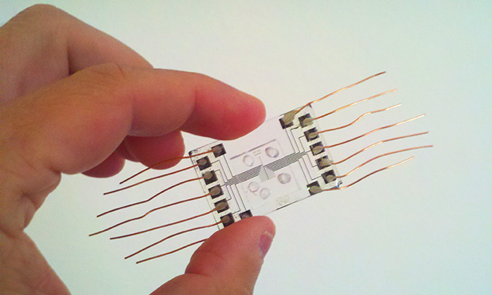 desalization-chip-feature