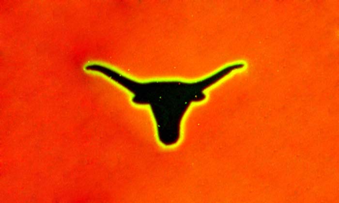 BEVO_orange_700x420.jpg