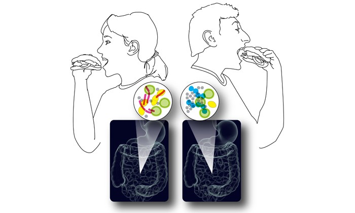 Mars-Venus Effect on Gut Microbes