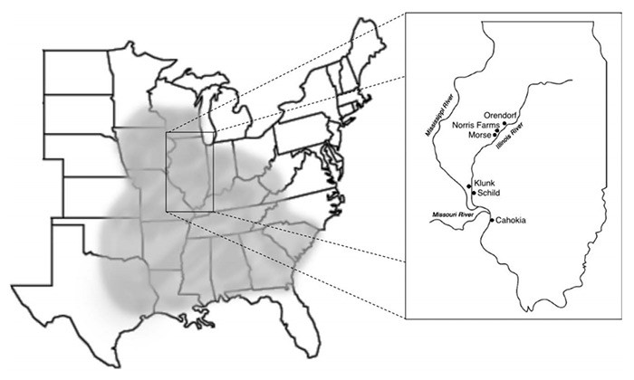 DNA Reveals Local Adoption of New Technologies, Not Migration, Caused Cultural Changes in Ancient Illinois