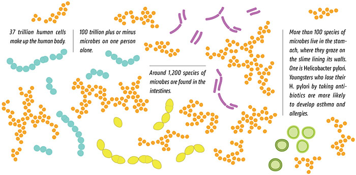 microbiome_graphic.jpg