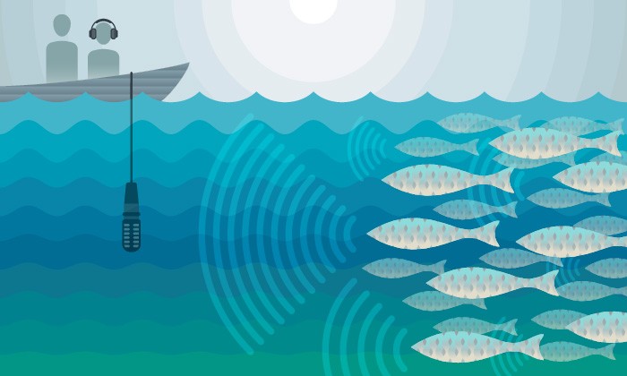 Can Sound Save a Fish? (Audio)