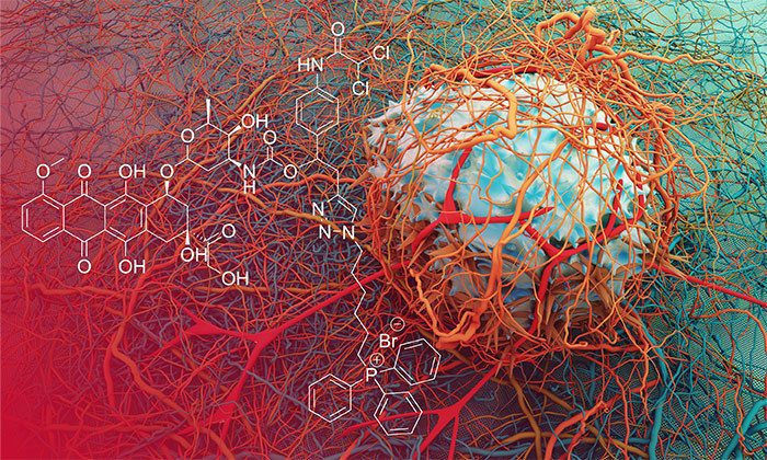 Making Cancer’s Metabolism More Normal Blocks Drug Resistance