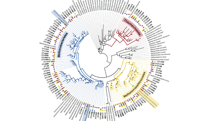 Biologists Receive $2 Million to Classify the Microbial World