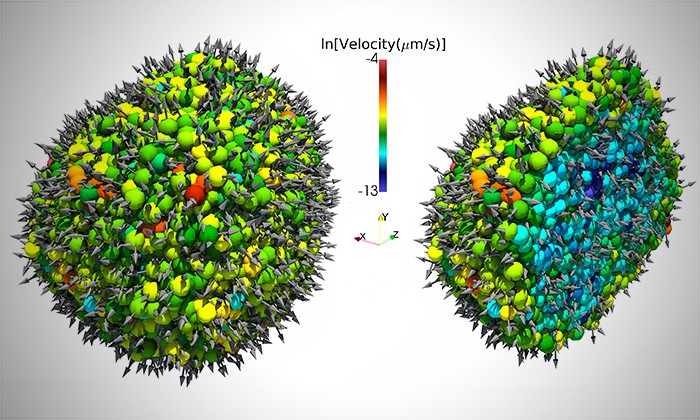 The Physics of Rapidly Spreading Cancer