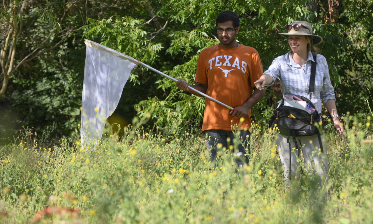 Freshman Students Explore through Summer Research