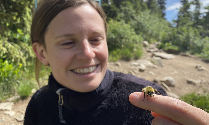 Oh Bee-have! UT Scientist’s Book for Children Highlights the Many Facets of Bees