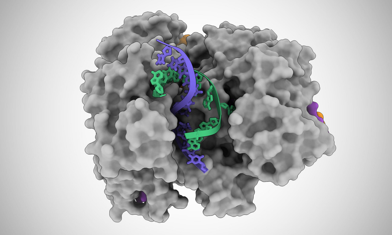 How a CRISPR Protein Might Yield New Tests for Many Viruses