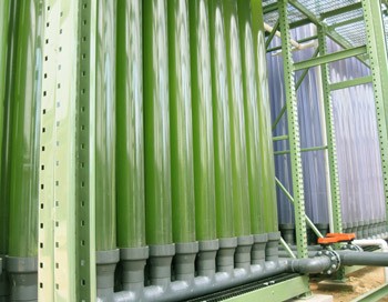 Large Facility For Growing Algae for Biofuels Opens