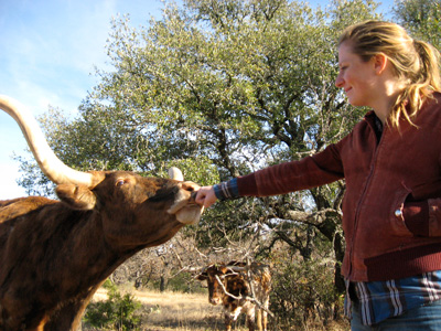 mctavish-longhorn bevo