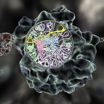 ribosome